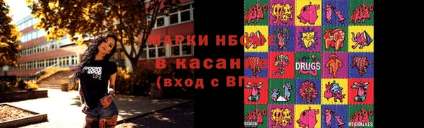 прущий лед Алзамай