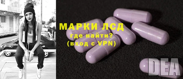прущий лед Алзамай
