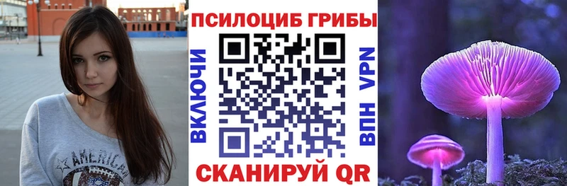 Псилоцибиновые грибы Psilocybine cubensis  кракен маркетплейс  даркнет телеграм  Сенгилей 